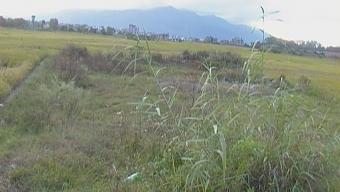 land sale Lalitpur