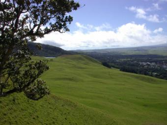 DEHAMMS  PROPERTIES Kasoa