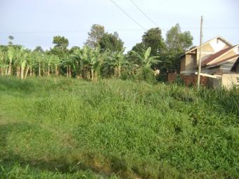 Land at Kajjansi, Entebe Road Kampala