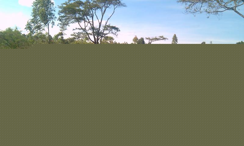 Prime Plots on Sale Nairobi