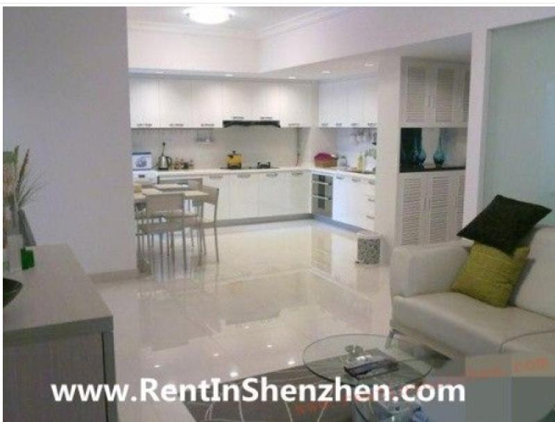 Luxury Shenzhen Apartment for re Shenzhen