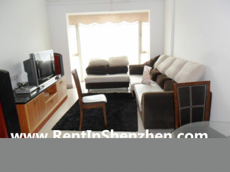 Near MixC,Shenzhen Luohu apartme Shenzhen