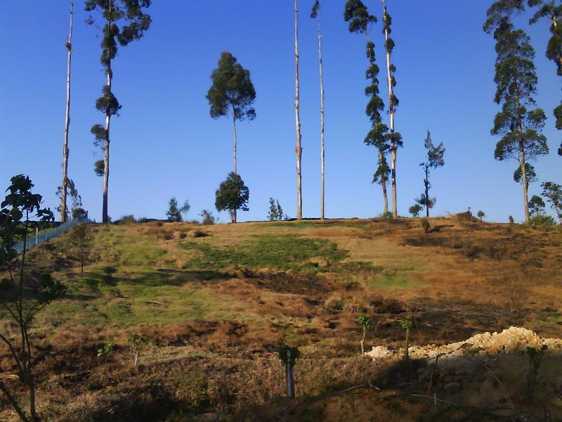 Land For Sale in Talawakelle Agrapatana, Talawakelle