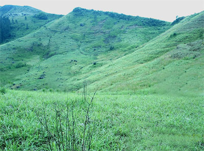 LAND FOR LEASE DIARY PRODUCTION Colombo