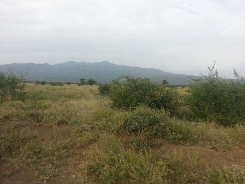 4o acres athi rver 4km off mbsrd Nairobi West