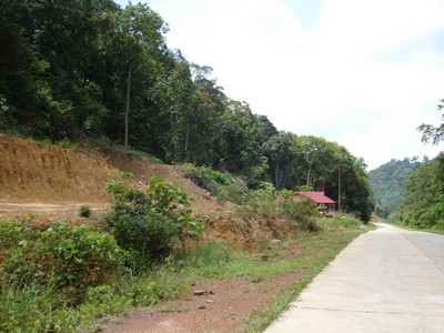 Roadside Land Plot Ko Lanta Yai