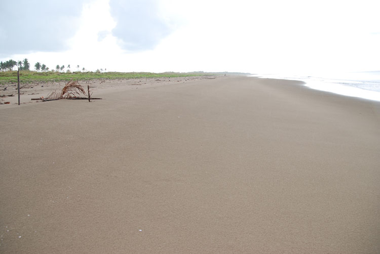 8-hectare highway to beach Bobon