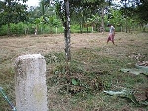 750 m2 Plot in Costa Rica Limon