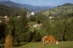 Prime Land for Tourism Alba Iulia