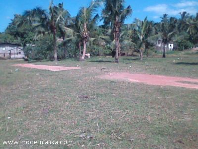 AGREE LAND SALE Puttlem