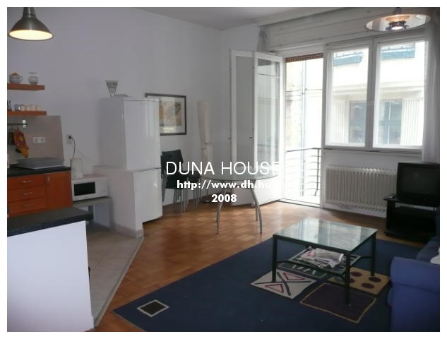 APT IN DOWNTOWN BUDAPEST Budapest