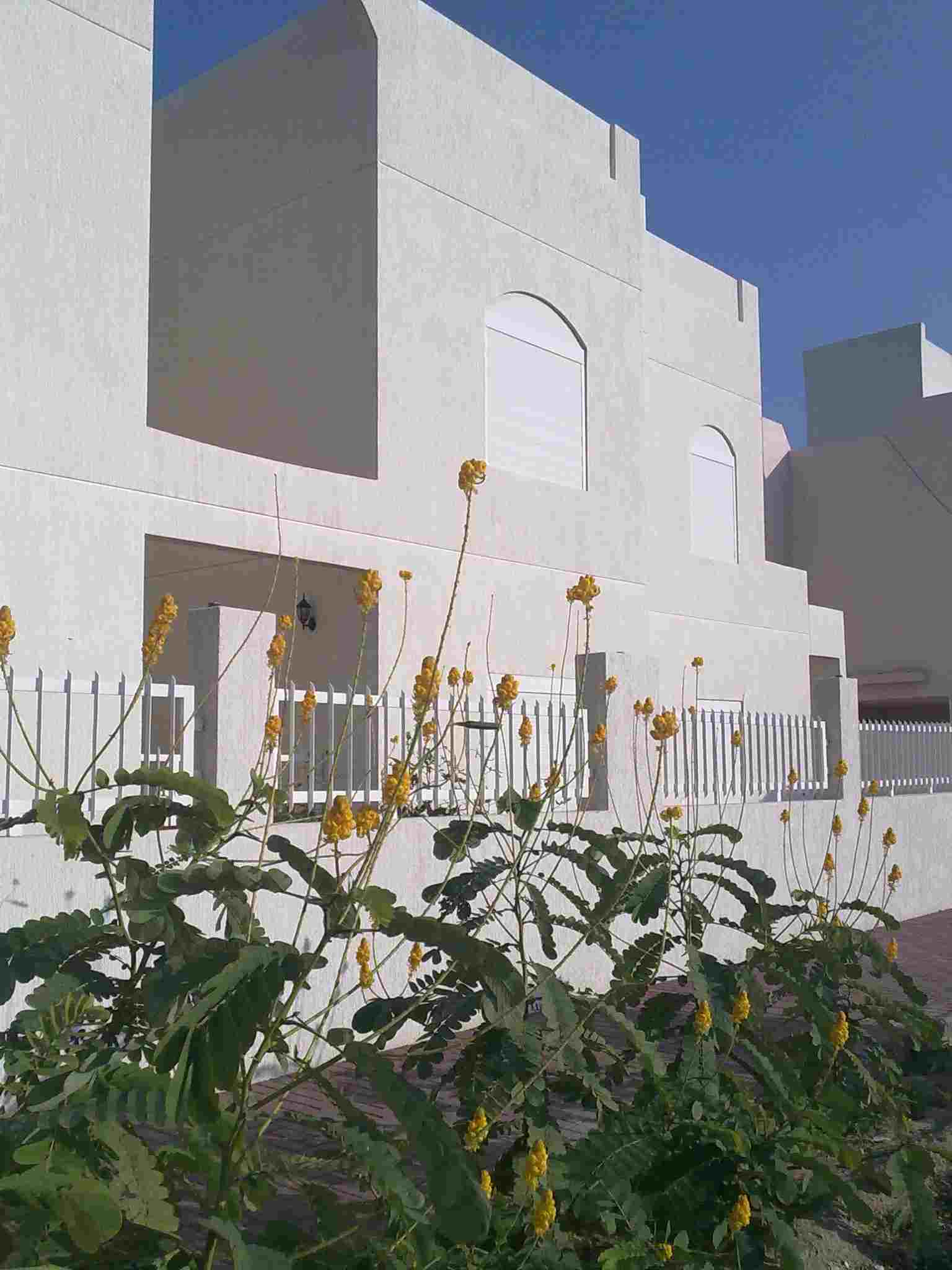 lovely villa High level Mesilla