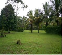 Great plots in Costa Rica San Jos�