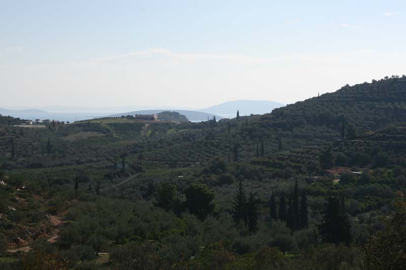 Olive Groove 4100sqm - sea view Tolo