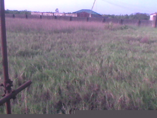2 plots of land for sale Ikorodu