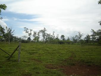 24,785 ACRES FERTILE FARMLAND Alajuela