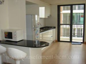 Apartments for rent in District2 Hcmc