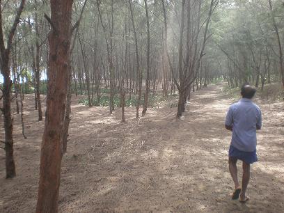 Land Sale in Ambalantota Hambantota