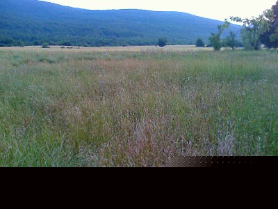 agricultural land Bihac