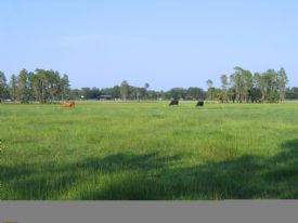 pasture/ranch and residential fa Forssa