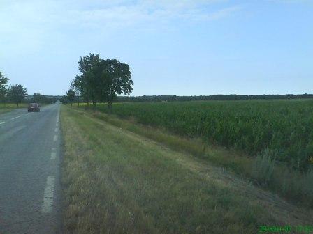 regulated land for sale Hadji Dimitar Village