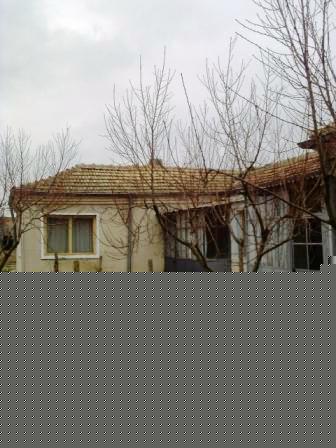 rural  house Dobrich
