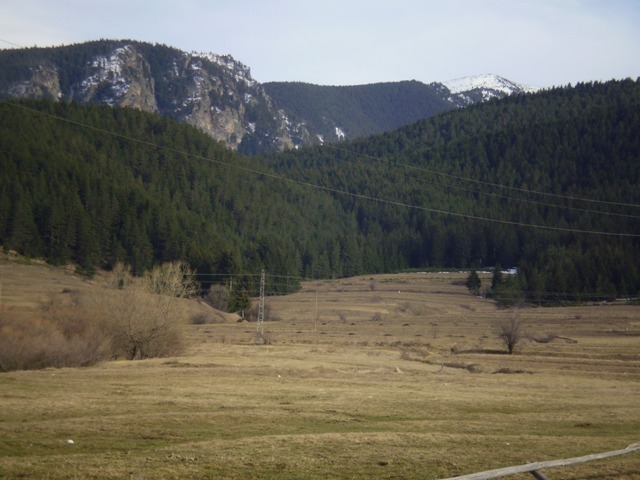 Amazing plot of land Mala Tsarkva Village