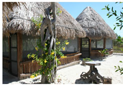 HI Hostel 4 sale in Isla Holbox Isla Holbox