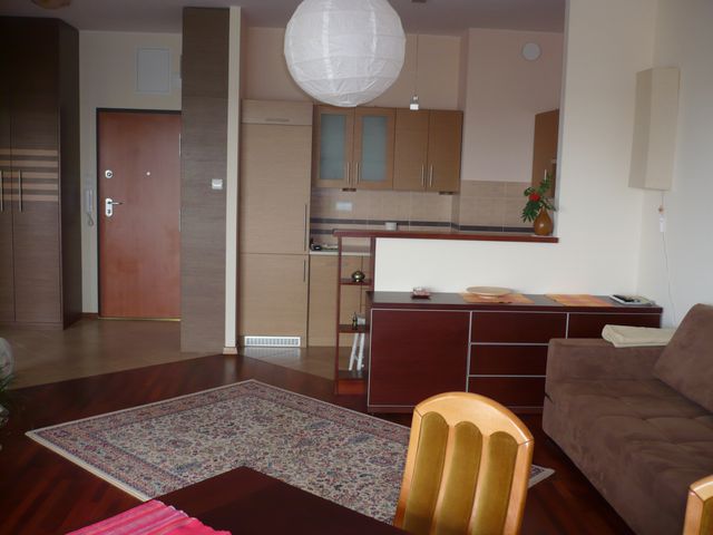 One bedroom flat with livingroom Warsaw