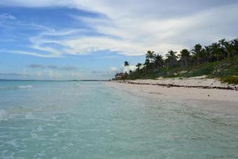 LAND FOR SALE TULUM Tulum
