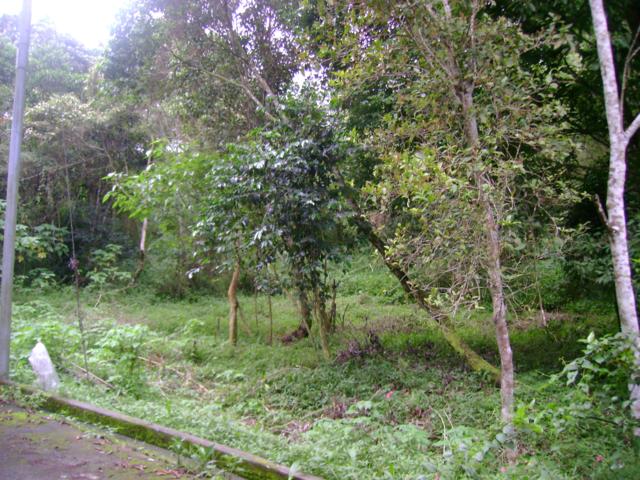 BAGUIO HOUSE & LOT W/ NICE VIEW! Baguio City