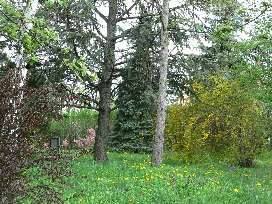 Beautiful lot at Lake Velence Gardony