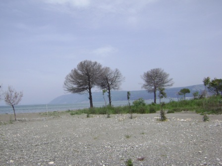 Have you ever been in paradise.. Shengjin