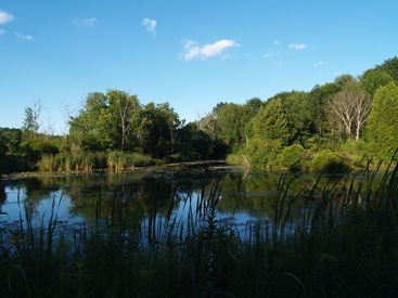 60 acres with two private lakes Madison
