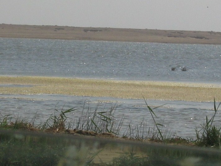 land  in resort on lake Karun Cairo