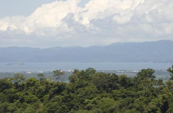 4,5 acre of Ocean view Miramar