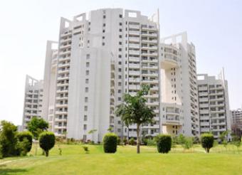 3BHK APARTMENT FOR RENT IN P. EX Gurgaon