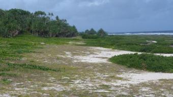 White Sands Beach Front Property Port Vila