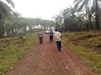 Tanah kavling murah Pandeglang