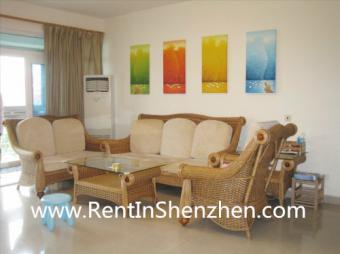 Shenzhen apartment rent Shenzhen