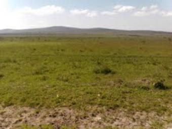 KITENGELA, 19 Acres best offer Nairobi