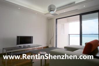 Western style,Penisula/Sea View/ Shenzhen