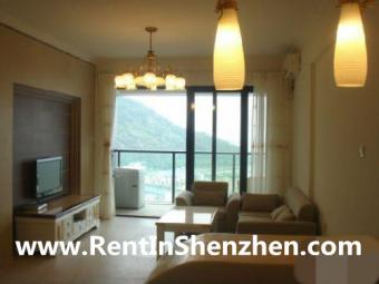 Penisula/Sea View/IKEA Style,wes Shenzhen