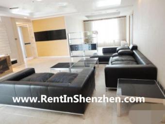 OCT/beautiful natural view/207SQ Shenzhen