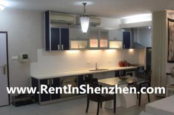 Shenzhen apartment,Luohu CBD,MIX Shenzhen