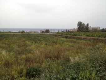 land for sale in paphos Paphos