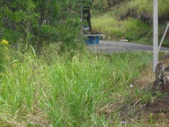 Build Your Dream Hotel Beragala