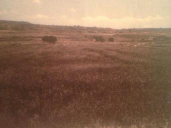 Plot for sale in Cyprus Paphos