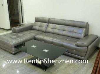 Shenzhen Apartment Rent/NanShan, Shenzhen