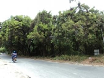 plot for sale Mombasa